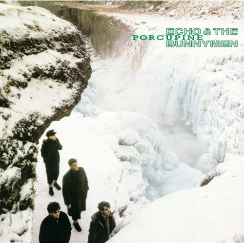 Echo and the Bunnymen / Porcupine