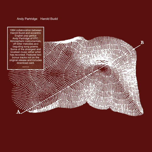 Andy Partridge & Harold Budd / Through The Hill