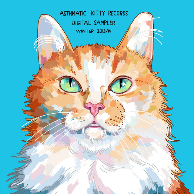 VA / ASTHMATIC KITTY DIGITAL SAMPLER, WINTER 2014