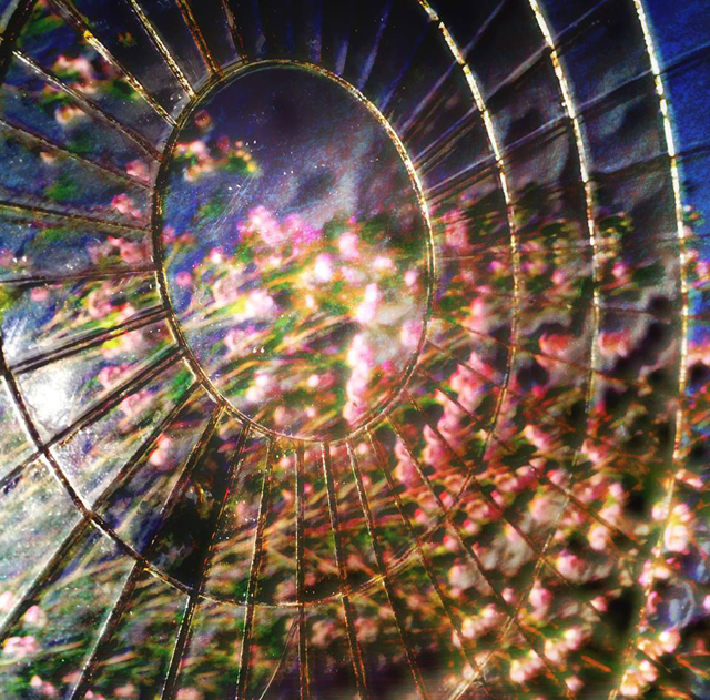 Indianapolis Jones / Indianapolis Jones