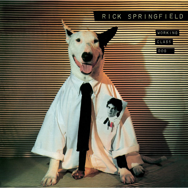 Rick Springfield / Working Class Dog