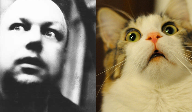 10 Cats That Look Like Frank Black - Flavorwire