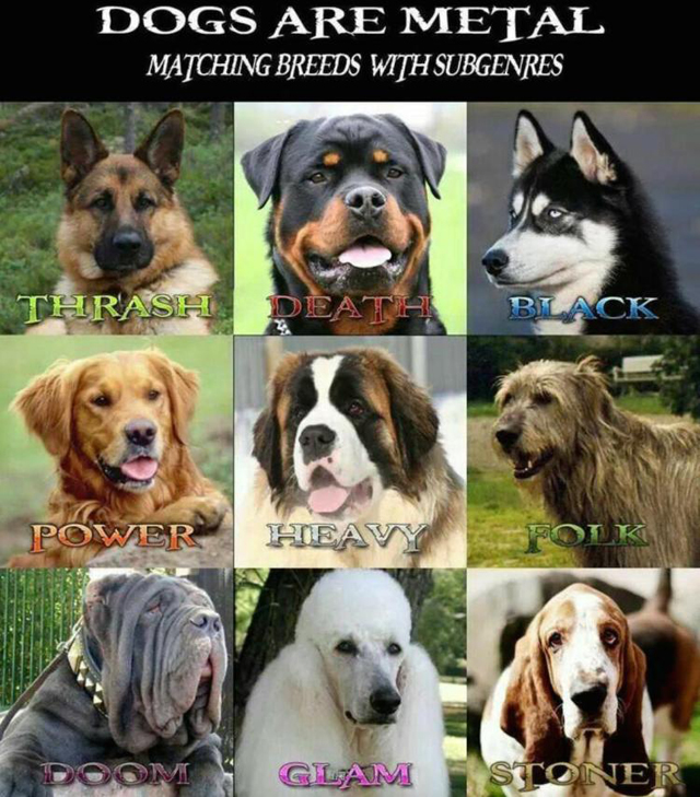 Dogs Are Metal