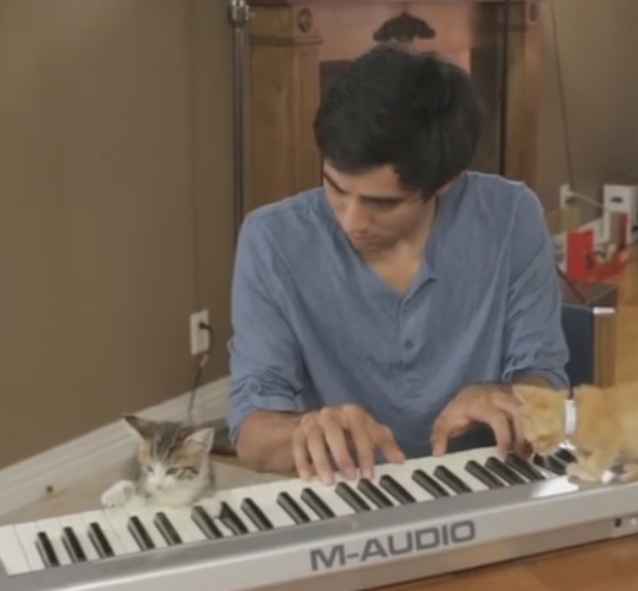 Zach King and His Kittens