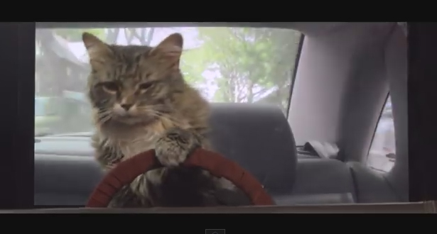 sElf - Runaway 'Official Video'