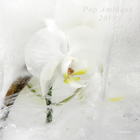 VA / Pop Ambient 2015