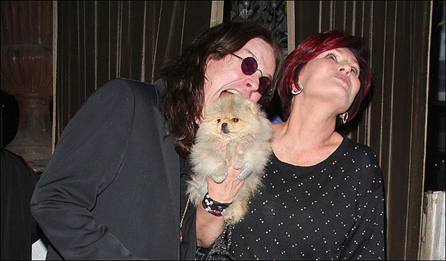 Ozzy Osbourne’s dog Little Bit