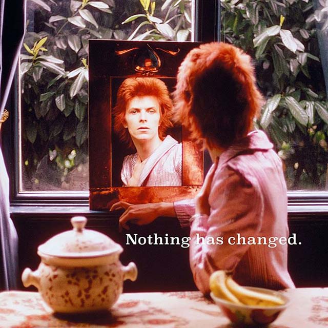 David Bowie / Nothing Has Changed [2LP]