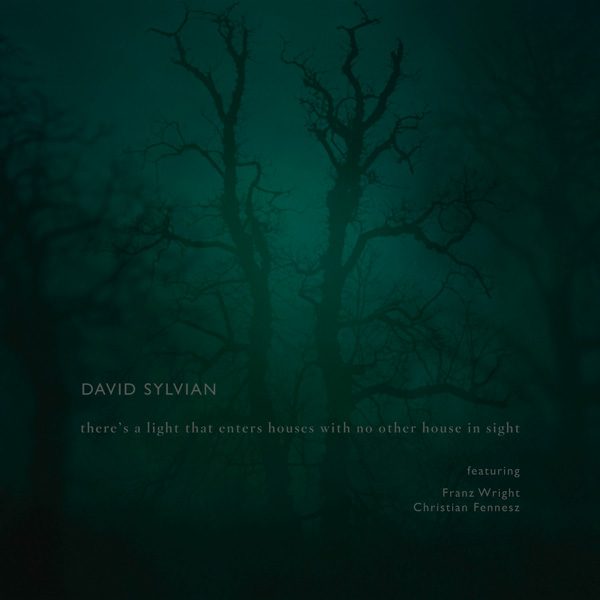 David Sylvian / There's A Light That Enters Houses With No Other House In Sight