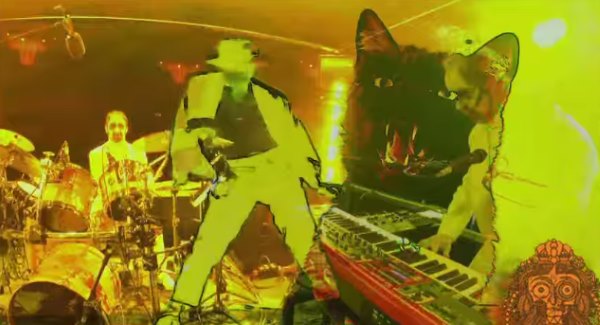 Phish Halloween 2014 - Your Pet Cat - Director's Cut