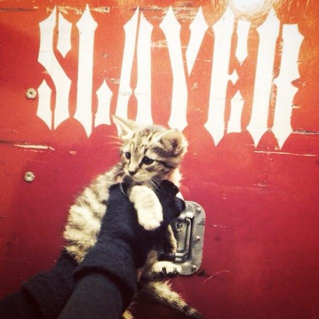 SLAYER Rescues Kitten Before Indianapolis Show