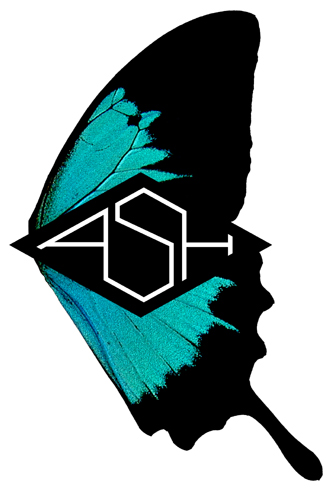 Ash - 2015 logo