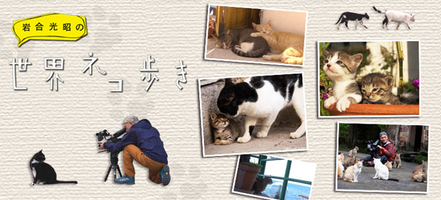 NHK BSプレミアム『岩合光昭の世界ネコ歩き』