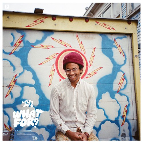 Toro Y Moi / What For?
