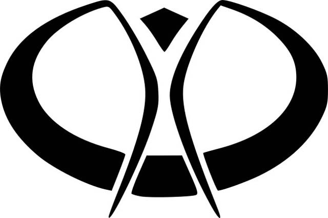 BURNING MAN FESTIVAL