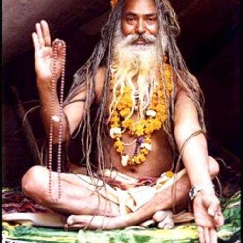 LOVE & THE FAMILY TREE