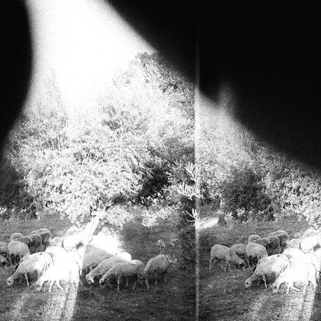 Godspeed You! Black Emperor / Asunder, Sweet and Other Distress