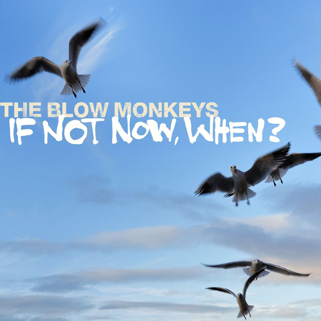 Blow Monkey / If Not Now, When?