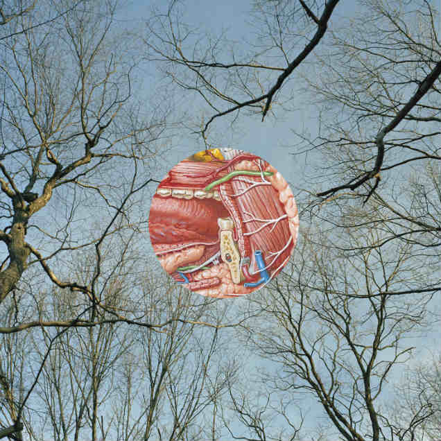 They Might Be Giants / Glean