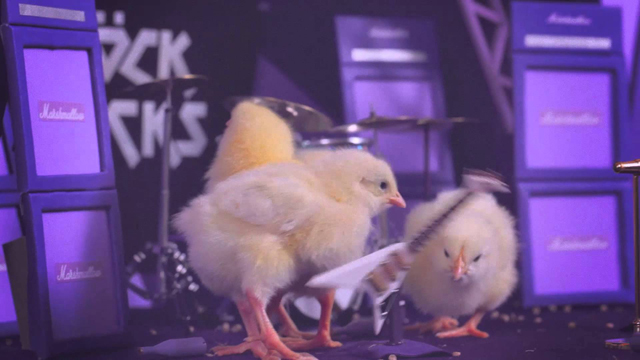Happy Easter 'Rock Chicks' | Download Festival 2015