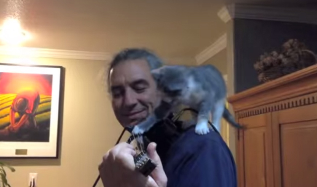 Kitten Tries to Help While Her Human Plays ‘Stand by Me’