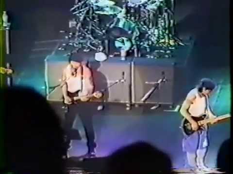 Eddie Van Halen, Steve Lukather, Billy Sheehan