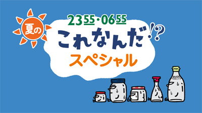 NHK Eテレ『2355・0655　夏の これなんだ！？スペシャル』