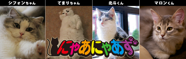 にゃあにゃあず