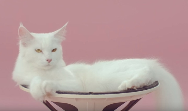 De Jeugd Van Tegenwoordig - Manon