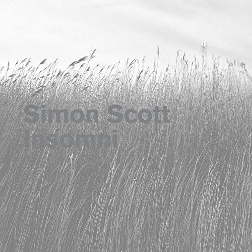 Simon Scott / Insomni