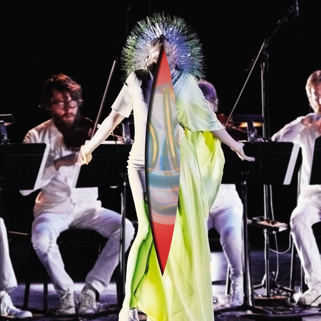 Bjork / Vulnicura Strings (Vulnicura: The Acoustic Version)