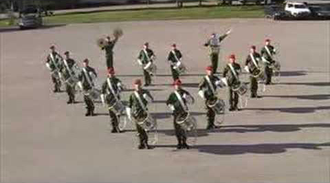 Swedish army drum corps