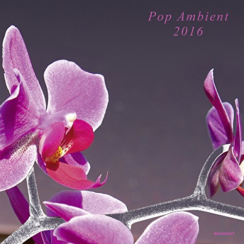 VA / Pop Ambient 2016
