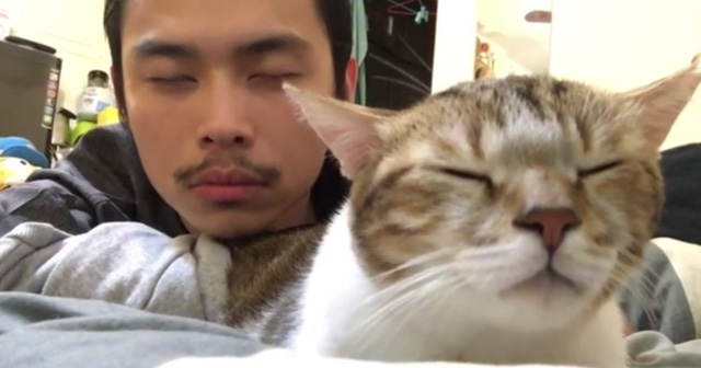 Asian Mike Lavin And His Cat