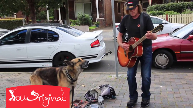 Amazing singing dog busker