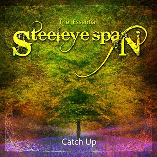 Steeleye Span / Catch Up - The Essential Steeleye Span