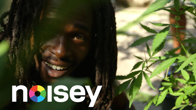 NOISEY JAMAICA レゲエ新世代の逆襲 ③ JESSE ROYAL