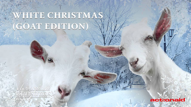 All I Want For Christmas Is A Goat - ActionAidSweden