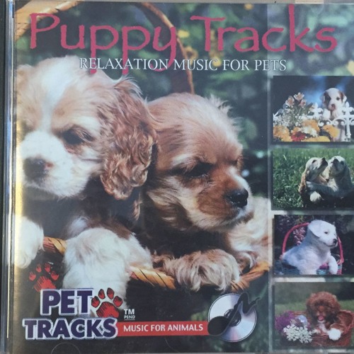Puppy Tracks