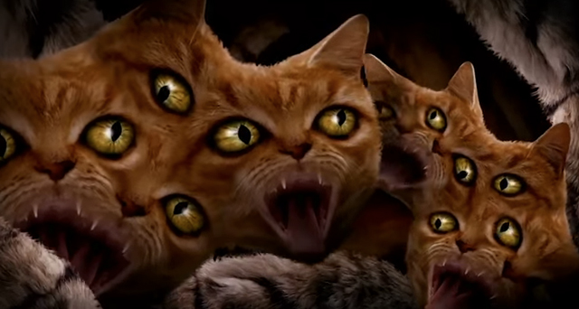 Run The Jewels - Meowpurrdy (Official Music Video)