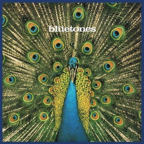 The Bluetones / Expecting To Fly