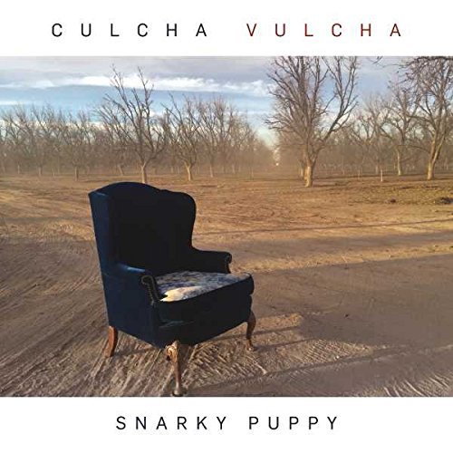 Snarky Puppy / Culcha Vulcha