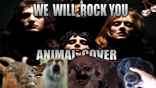 Queen - We Will Rock You (Animal Cover) - Insane Cherry