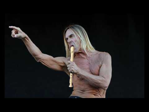 IGGY POP - THE PASSENGER - SHITTYFLUTED