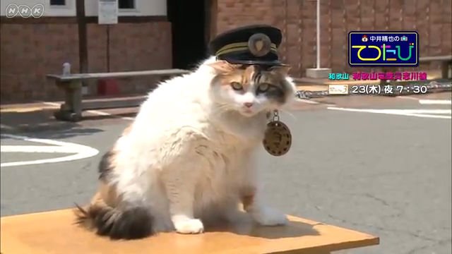 NHK BSプレミアム『中井精也のてつたび！「和歌山　和歌山電鉄貴志川線」』