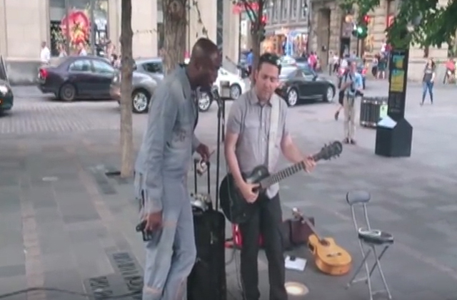 Seal and street musician