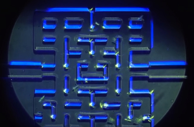 Mikroskopisk Pacman