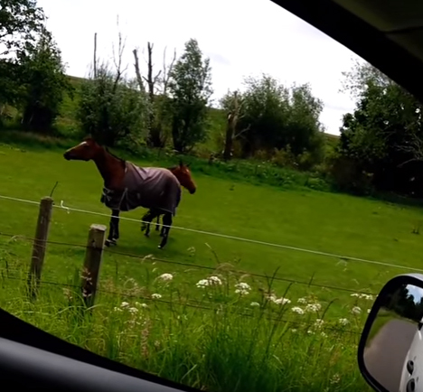 Vulgar Display Of Horsepower!