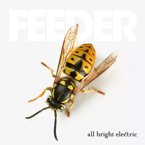 Feeder / All Bright Electric