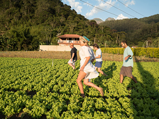Melody Gardot & Pierre Aderne TOUR IN JAPAN 2016